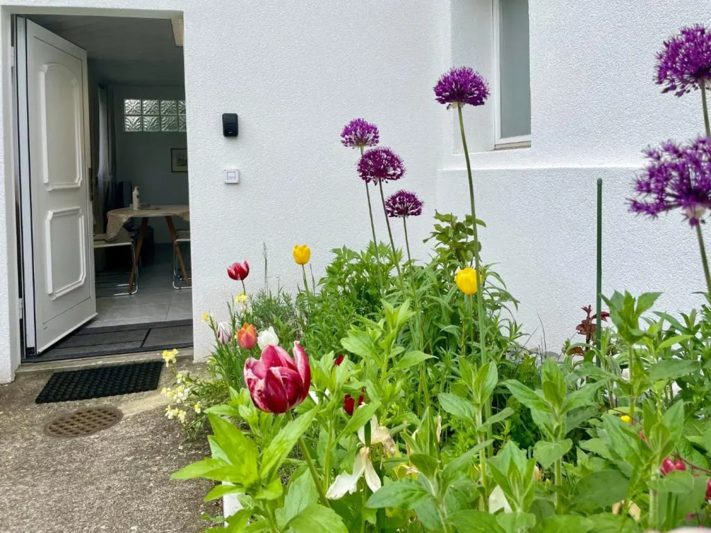 Studio in Stadtnähe Zürich mit guter Verkehrsanbindung