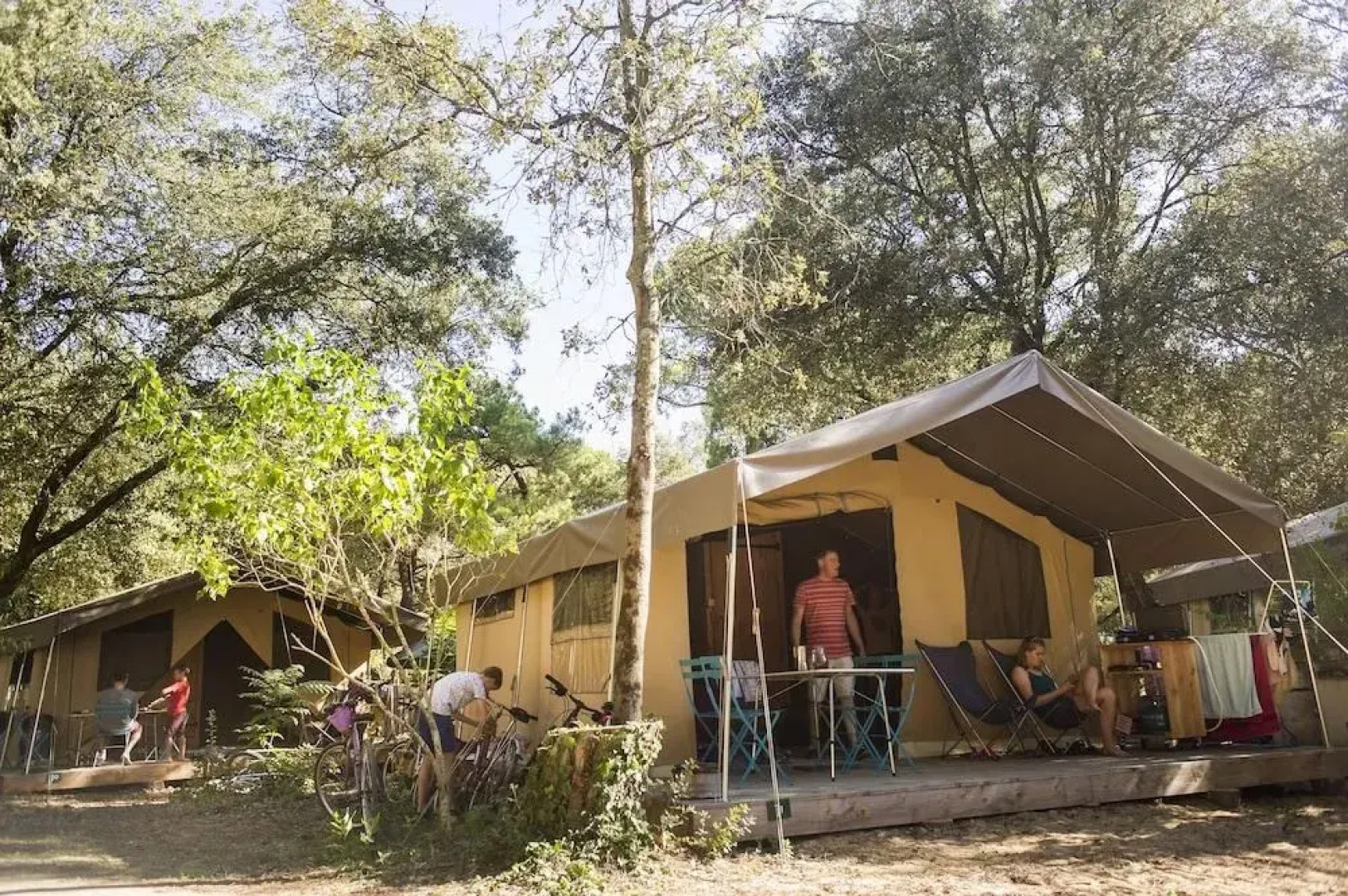 Huttopia Ile de Ré - Chardons bleus