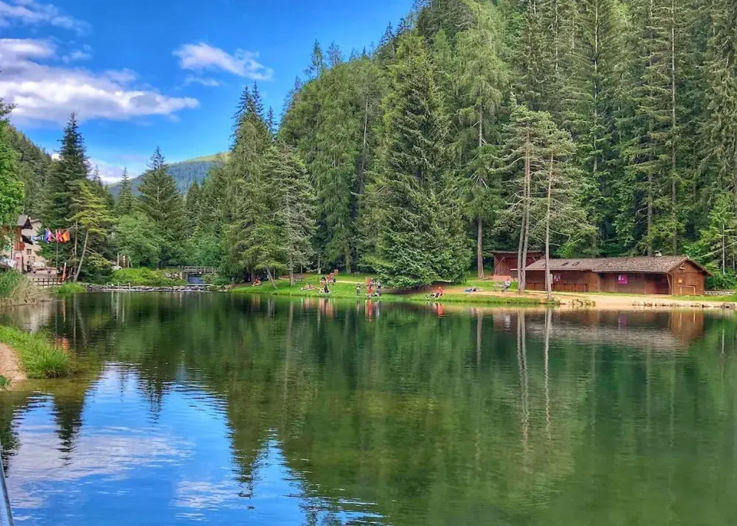 Regina del Bosco / Waldkönigin