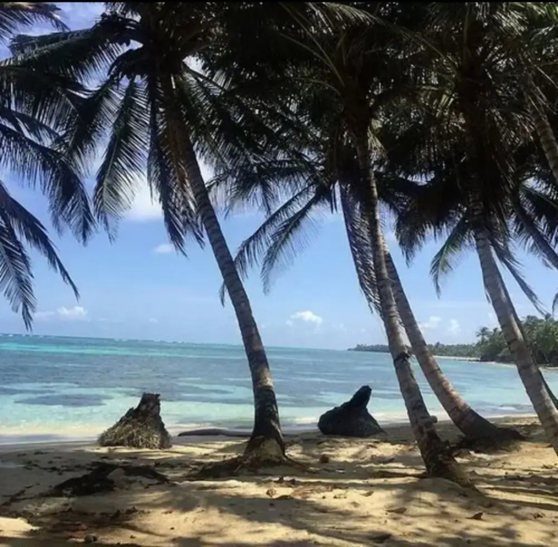 Las Palmeras Hotel