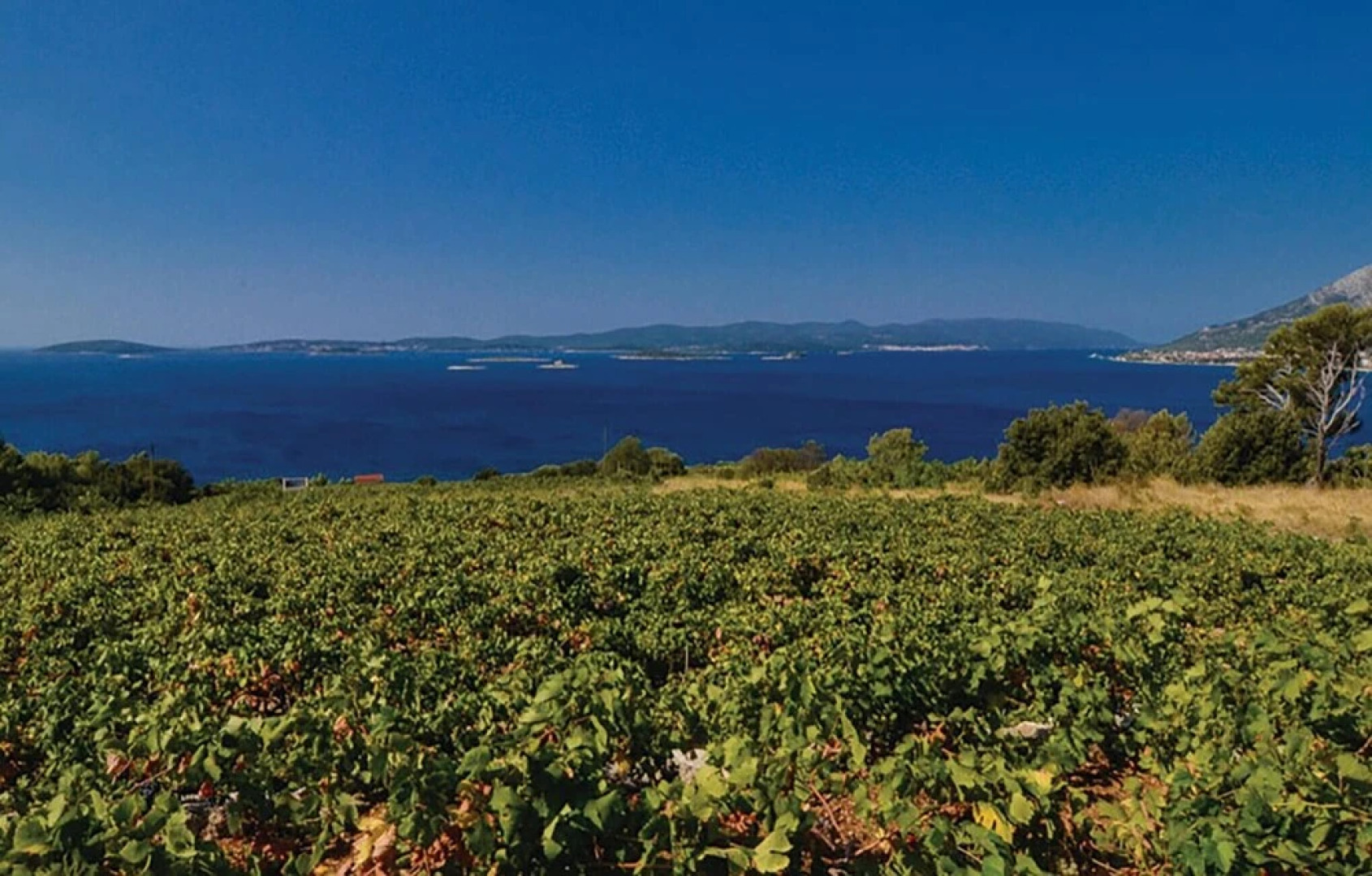 Awesome Home in Postup With Wifi and 5 Bedrooms