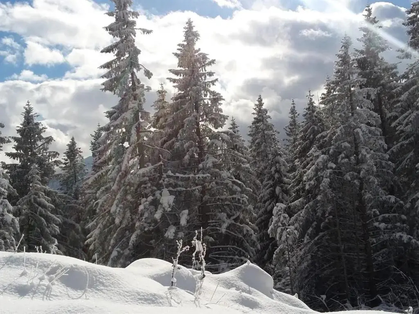 Landhotel und Gasthof Zur Post