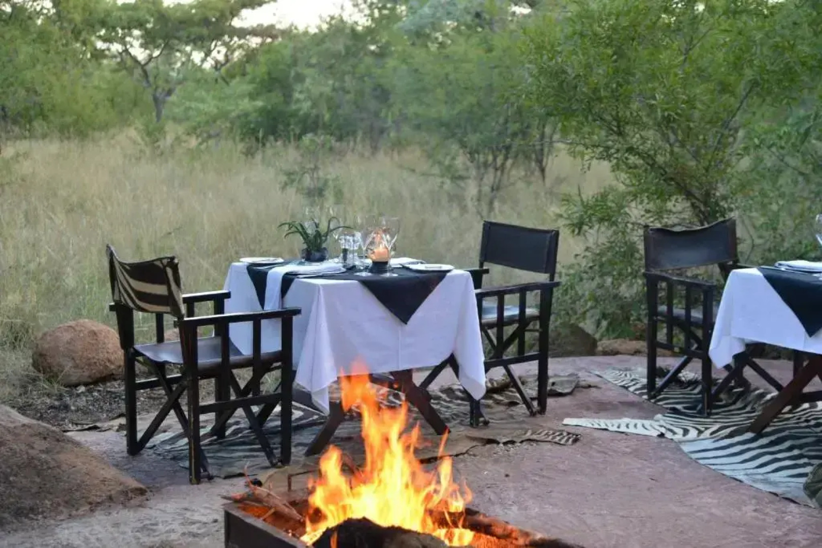 Wild & Free Game Lodge