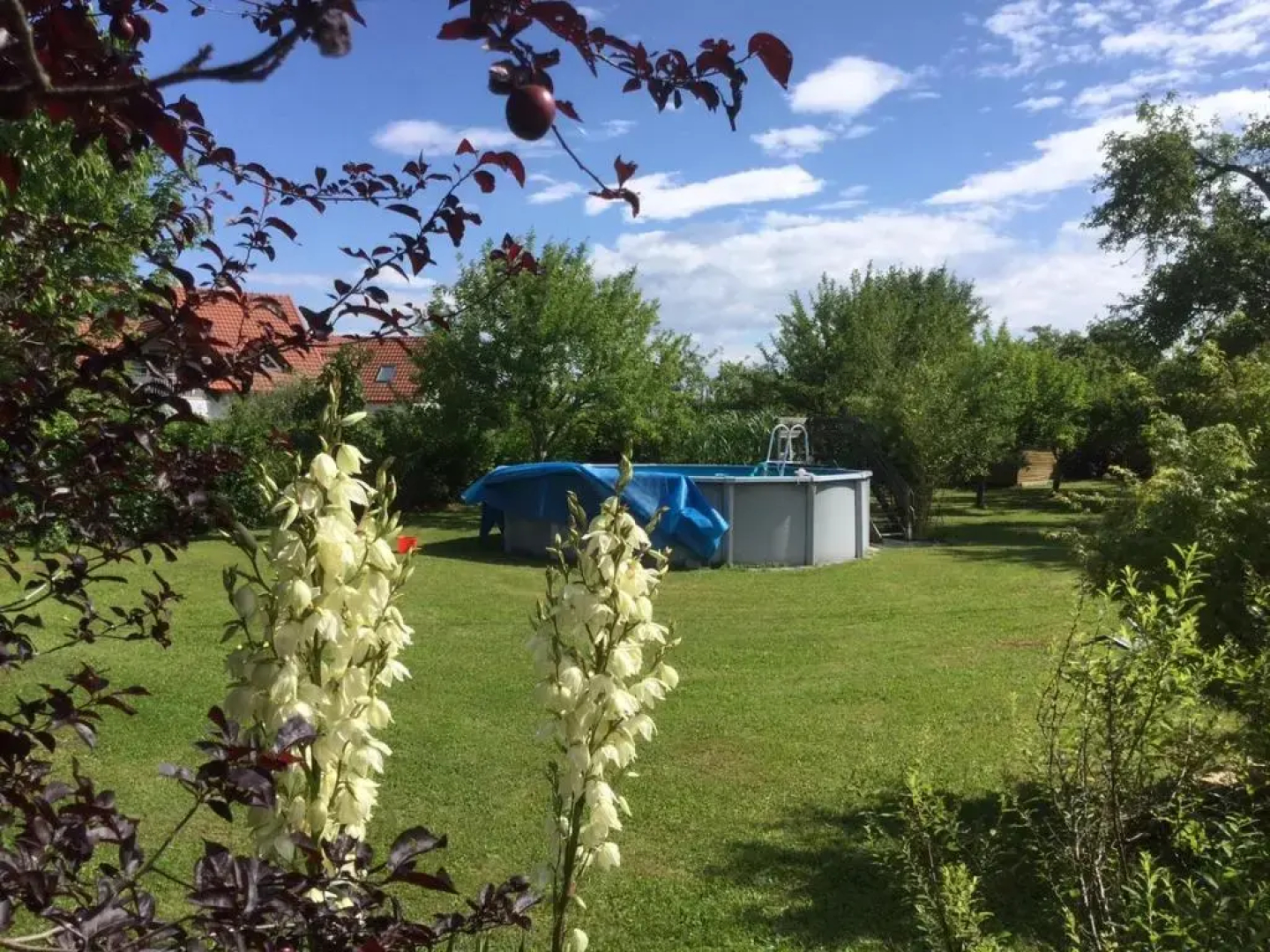 Ferienwohnung Schimun