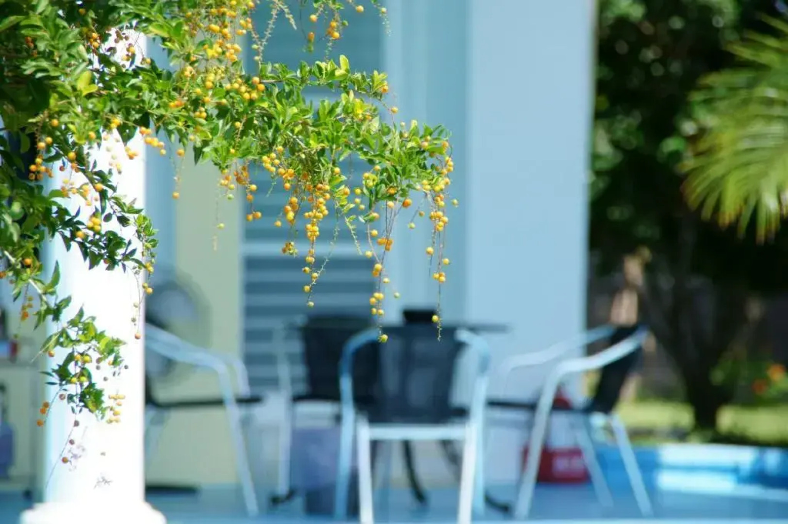 Wei Feng Jia Yuan B&B