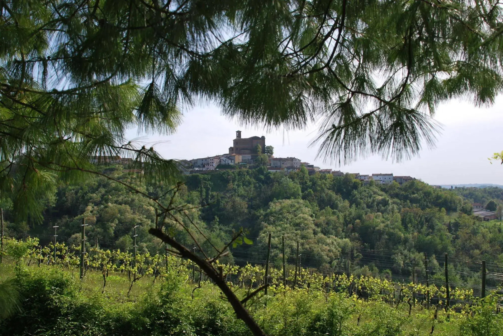 B&B Alice in wonderland