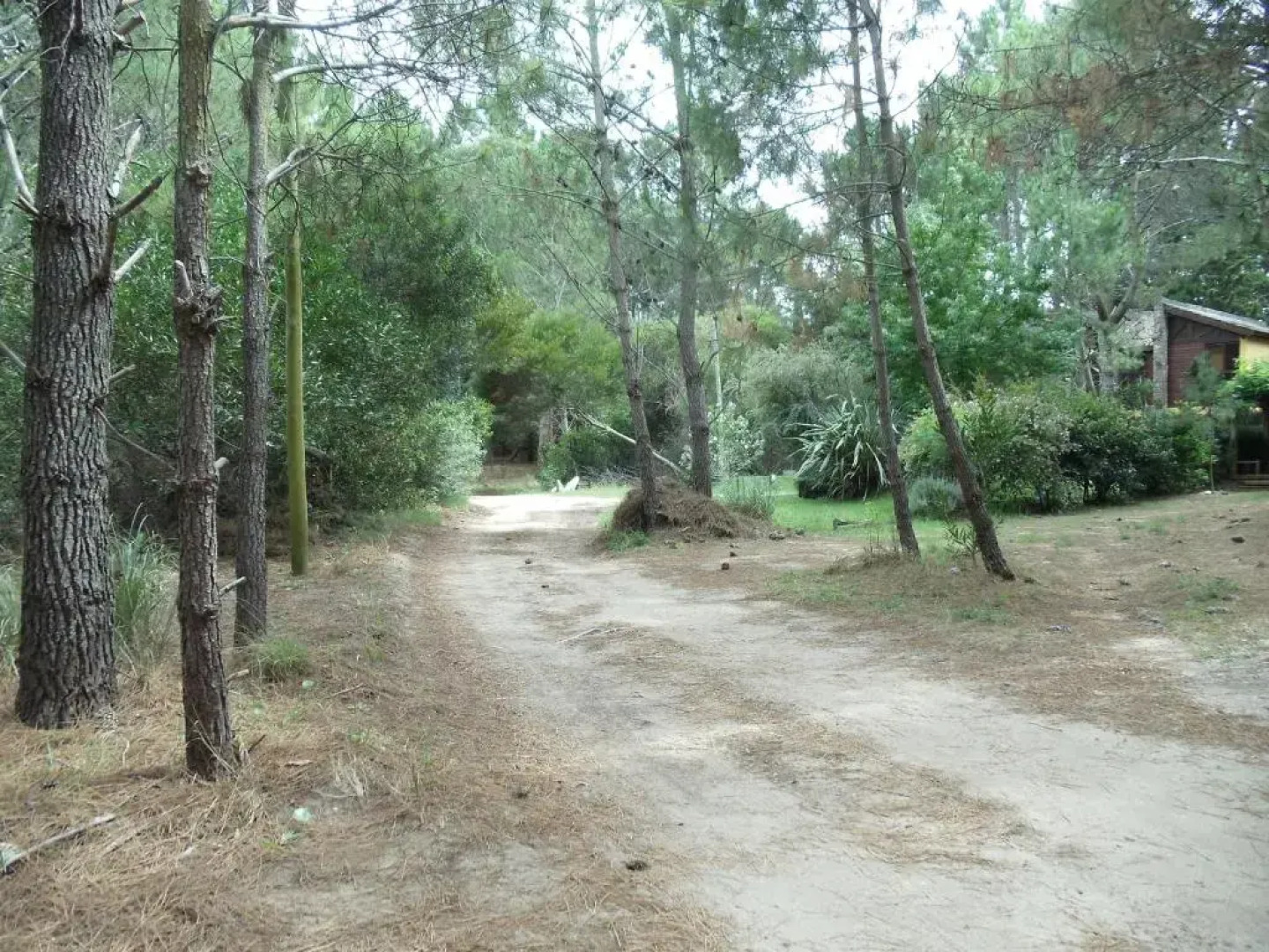 Patagonia Playa Cielo