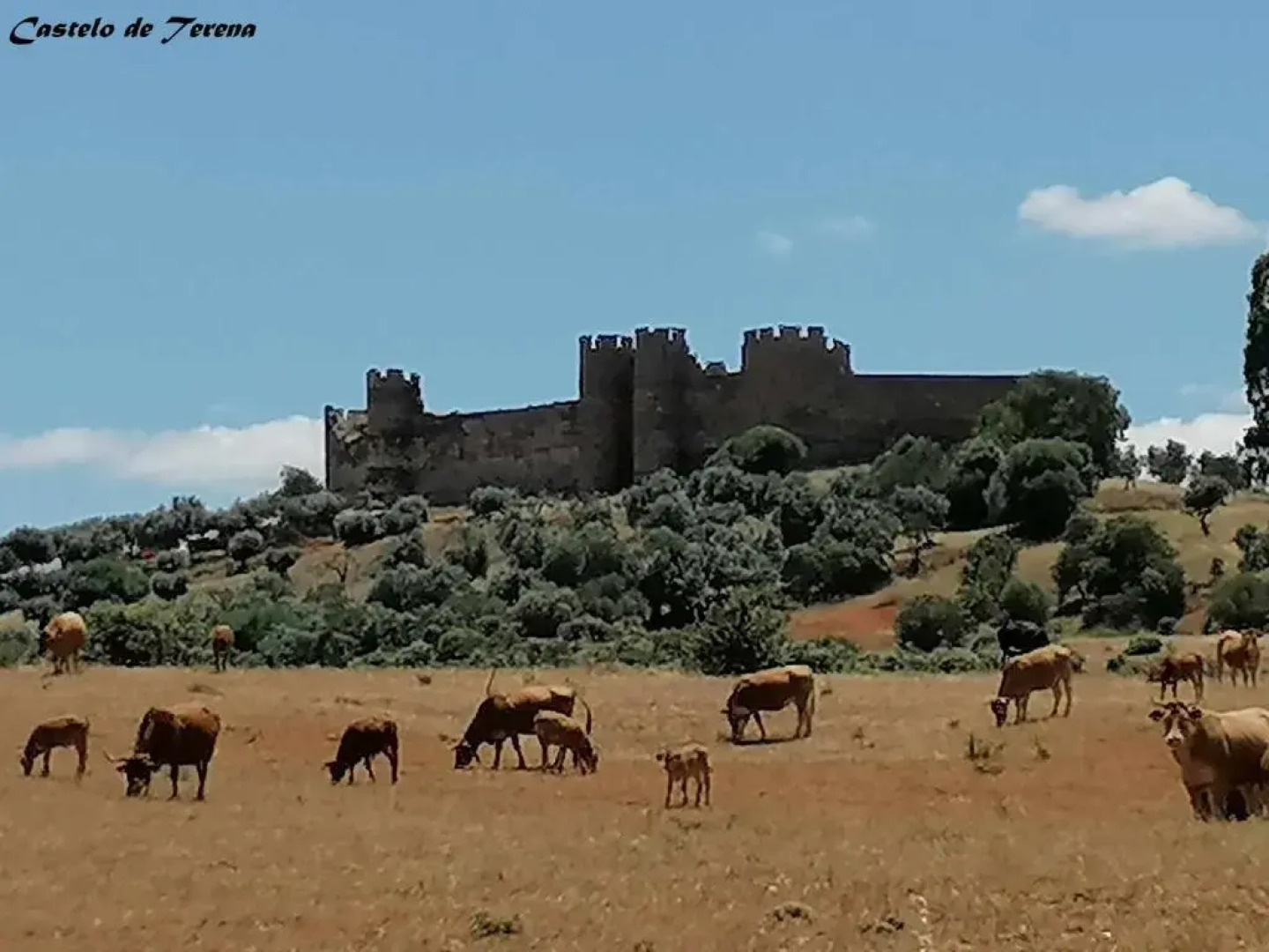 DieAna Alojamento Alandroal