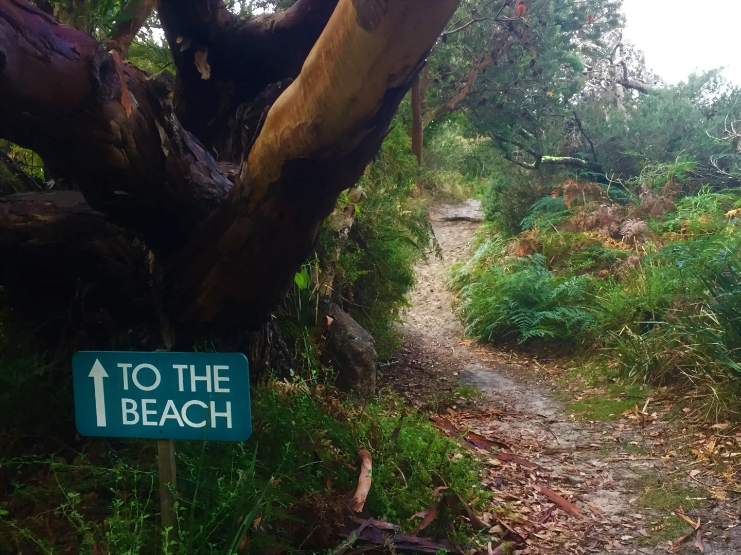 Sandpiper Ocean Cottages