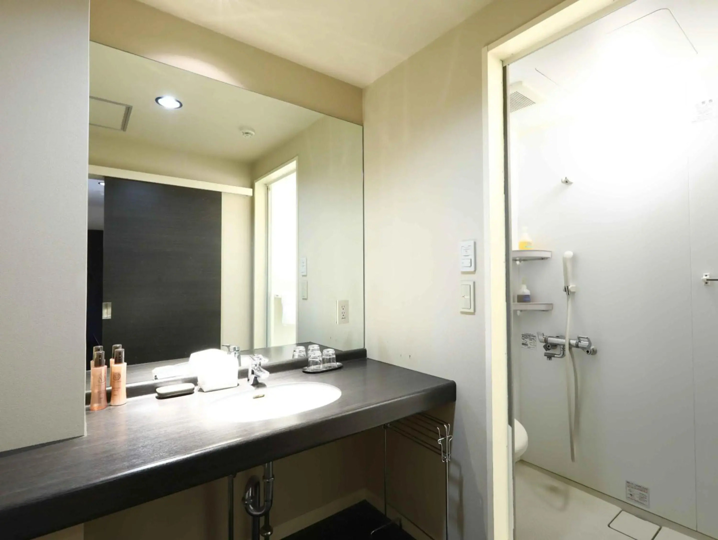 Manza Onsen Nisshinkan