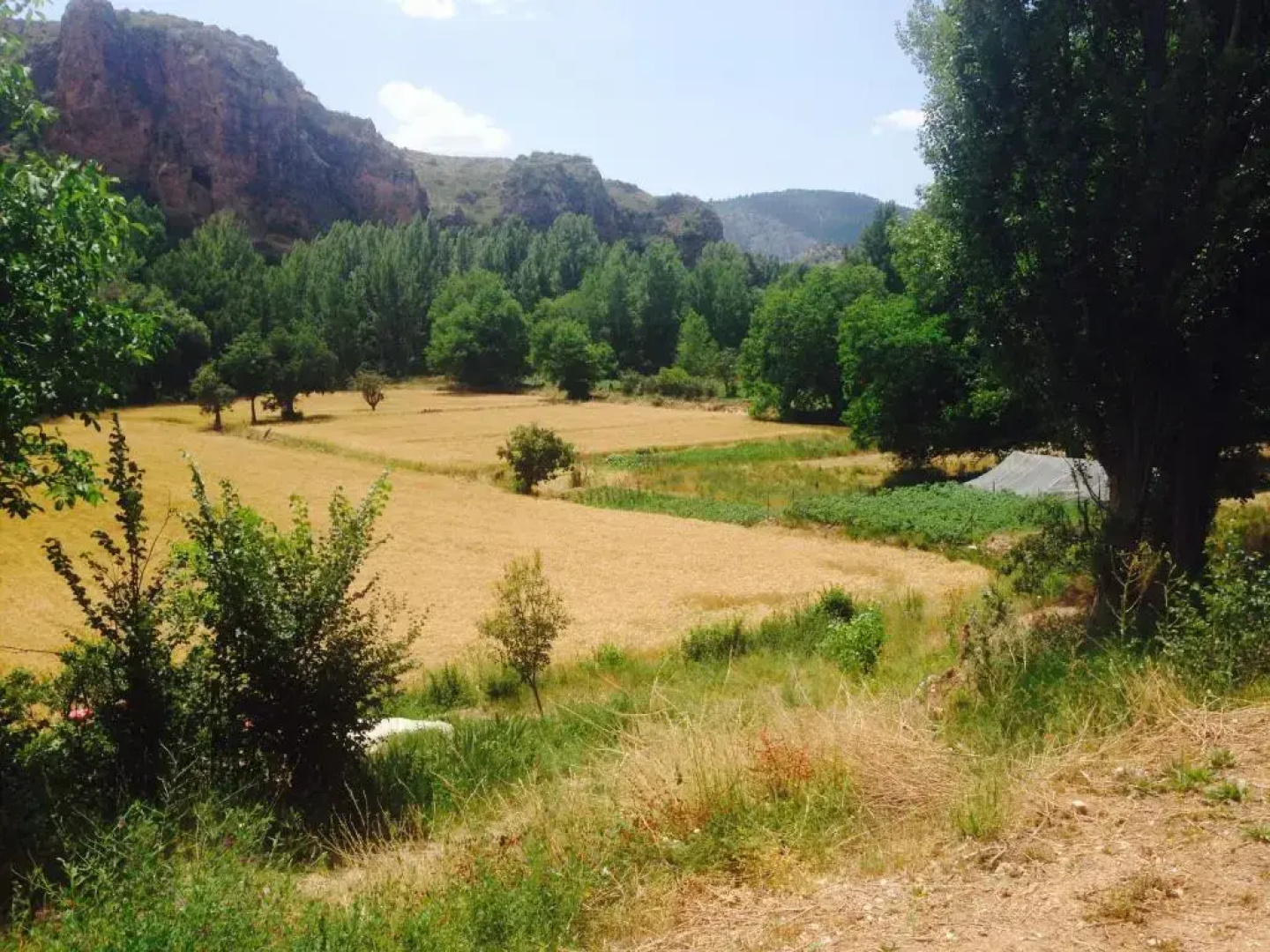 Encanto de Aragón