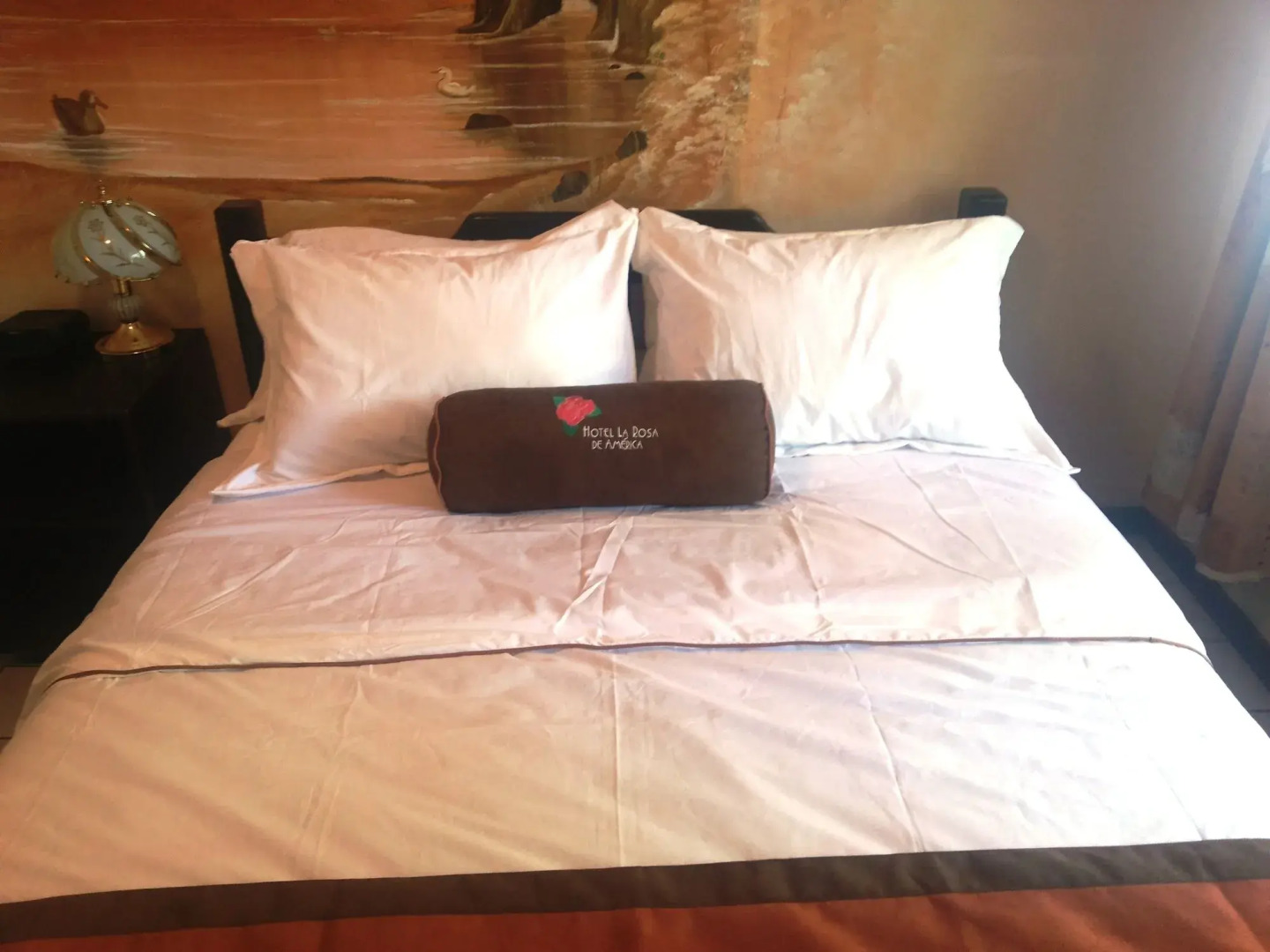 Hotel La Rosa de America