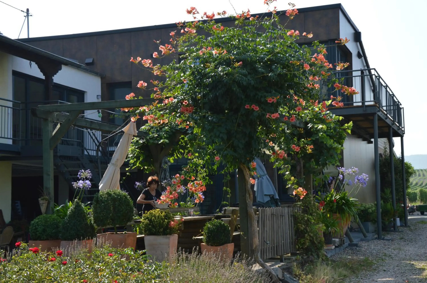 Wein & Gästehaus Porten-Becker