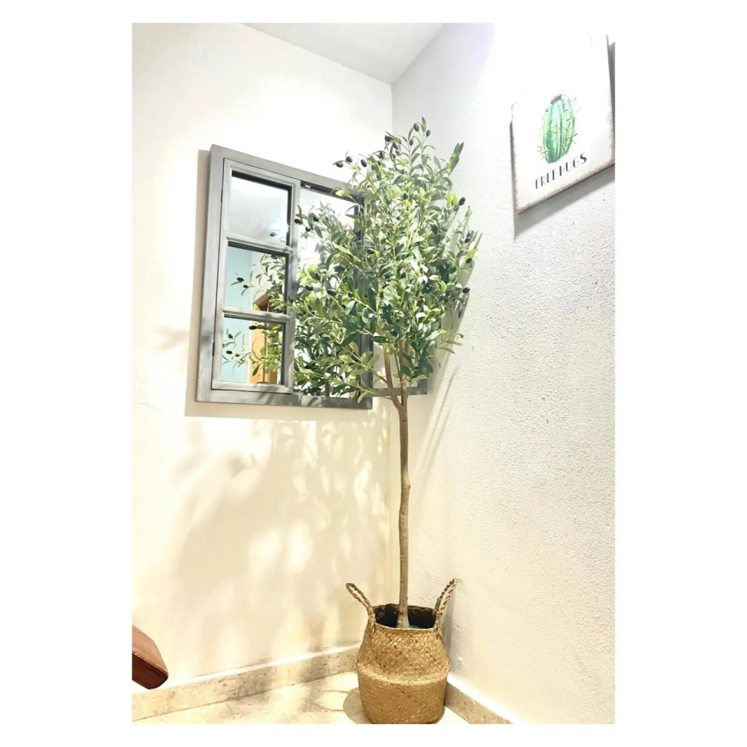 Peregrina Blue Family Suite