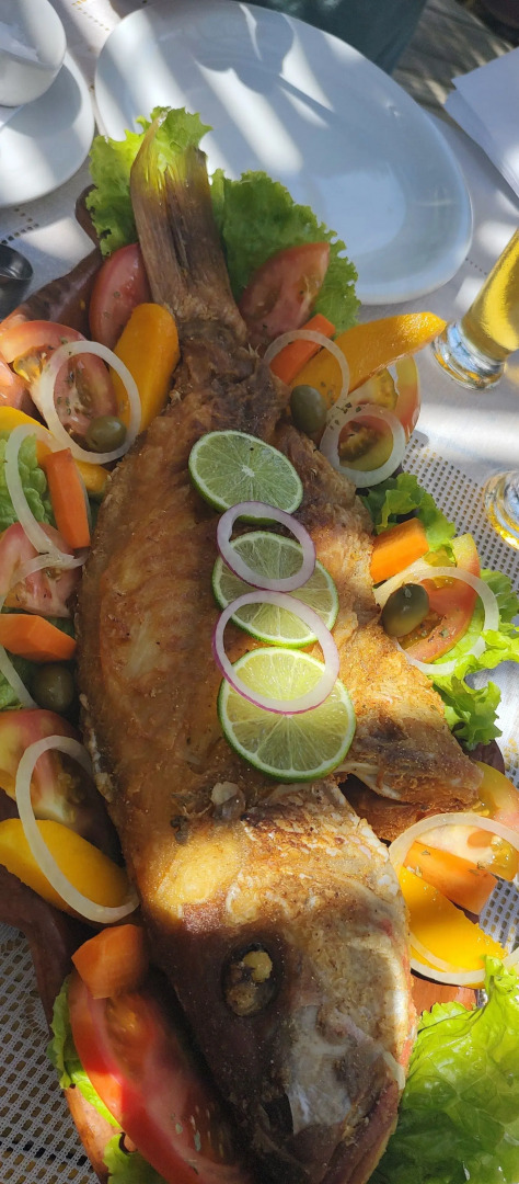 Pousada Vila Araticum Praia