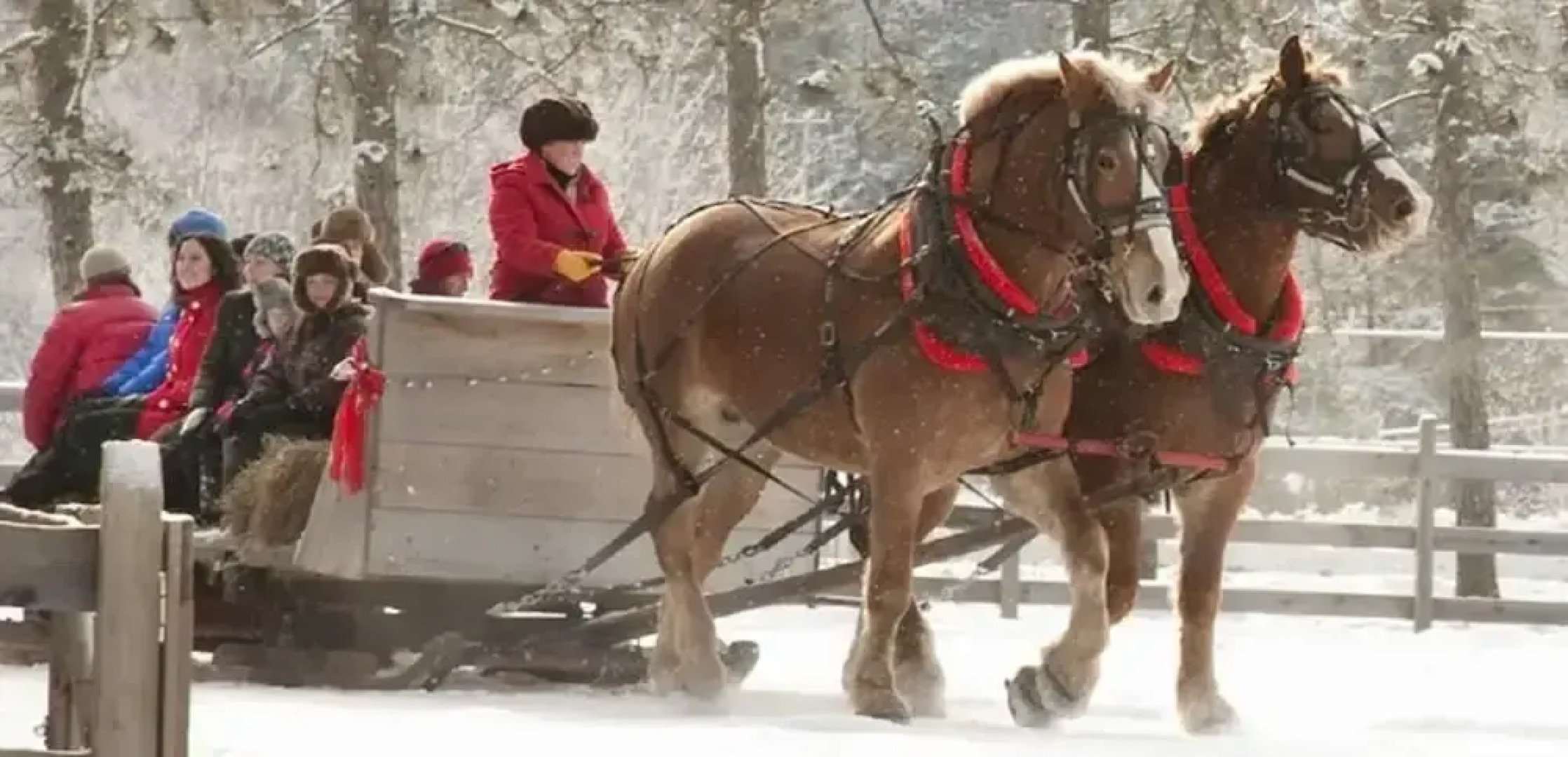 Red Maple inn and suites