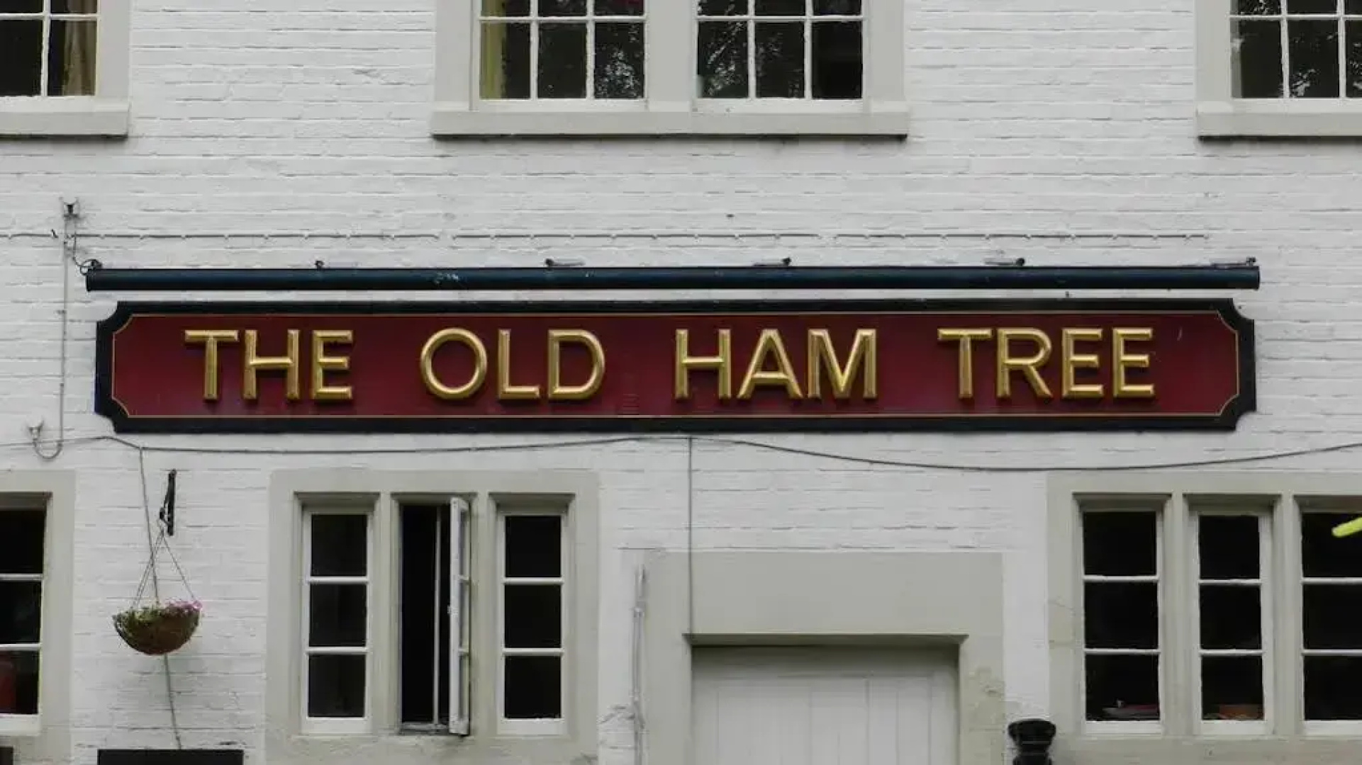 The Old Ham Tree