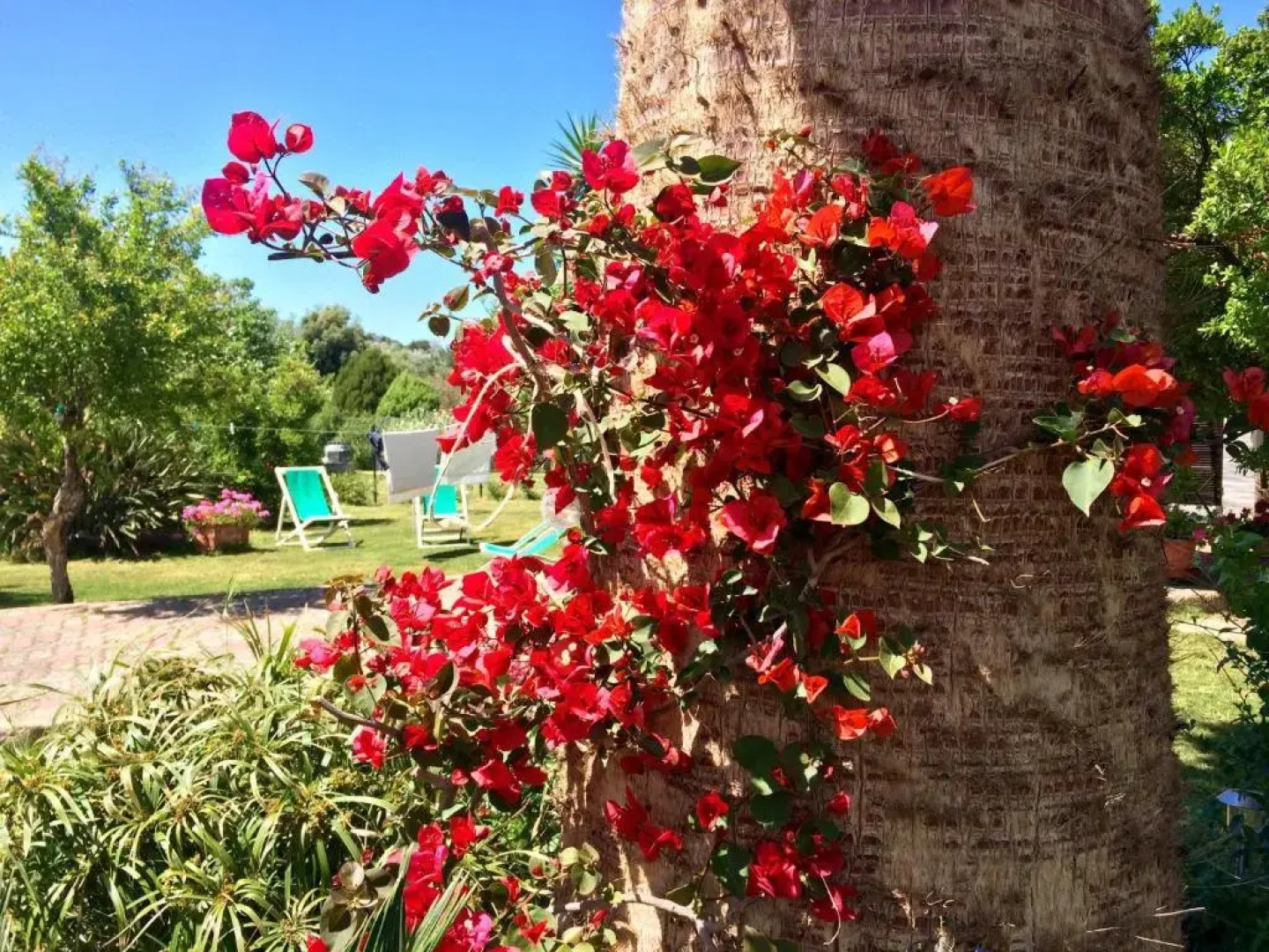 Casa del Mirto Bianco