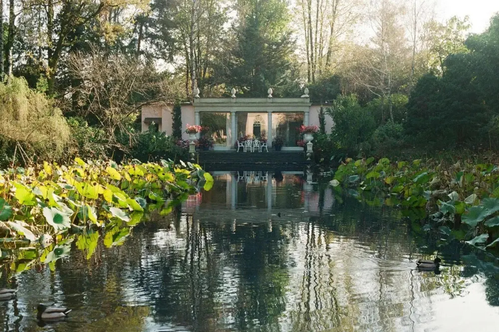 Tranquil 1BR Villa in Revislate