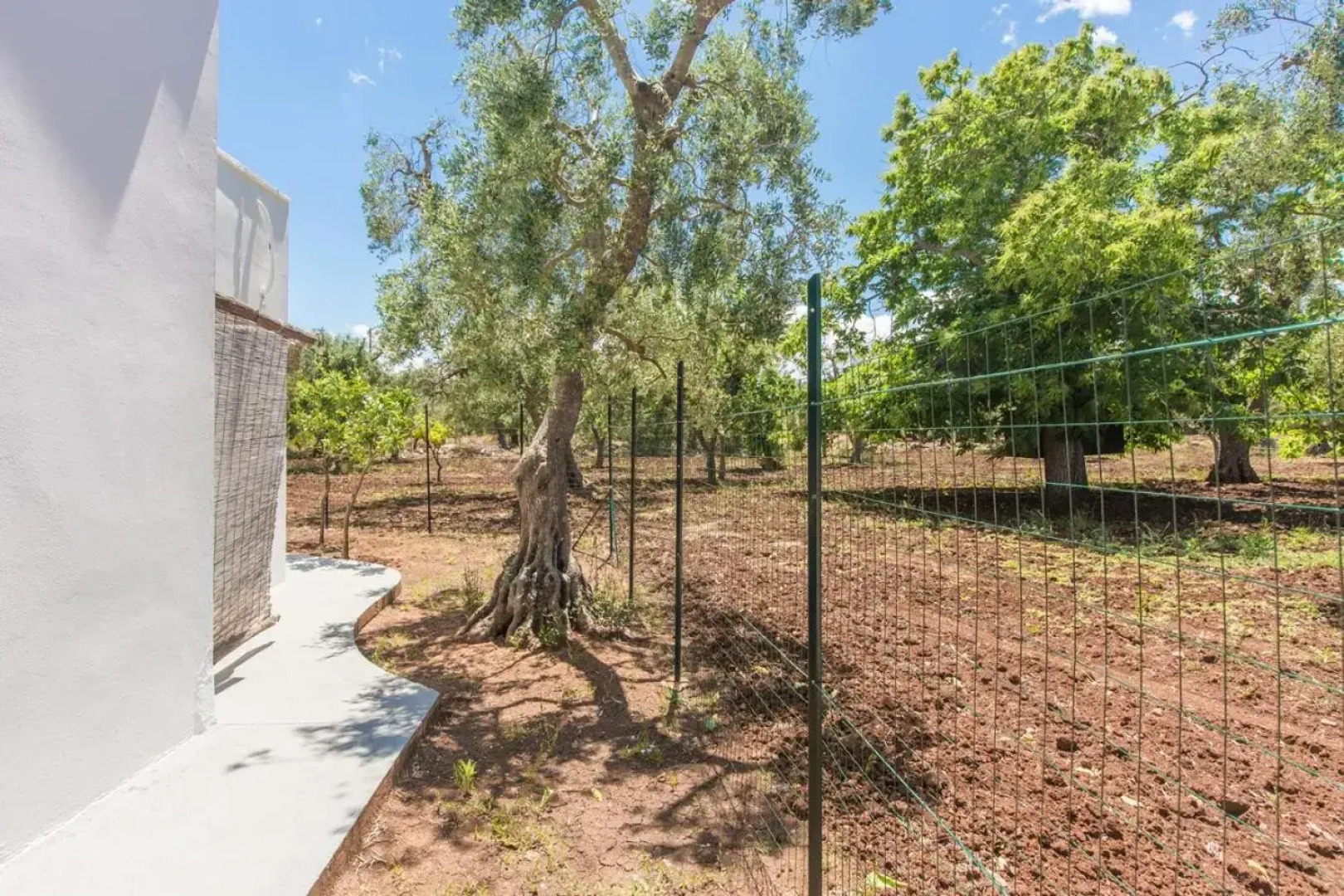 Trullo del Mandarino con piscina