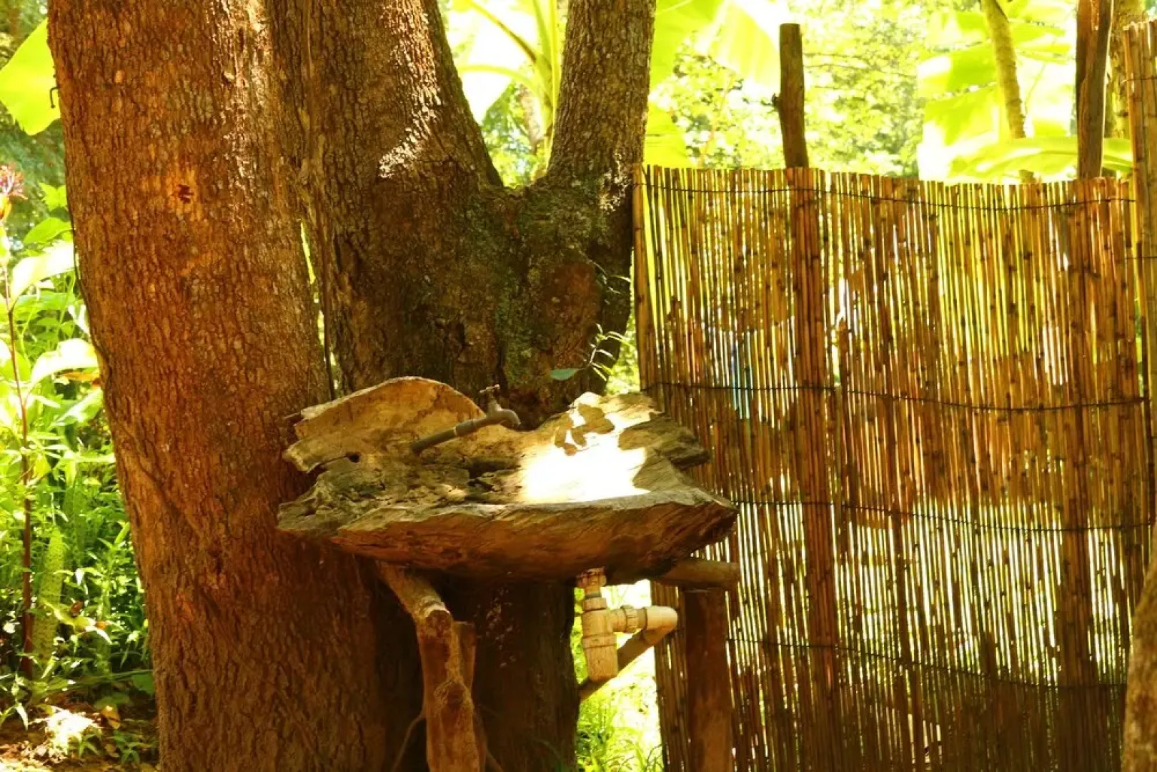 Kande Horse & Guest Farm House