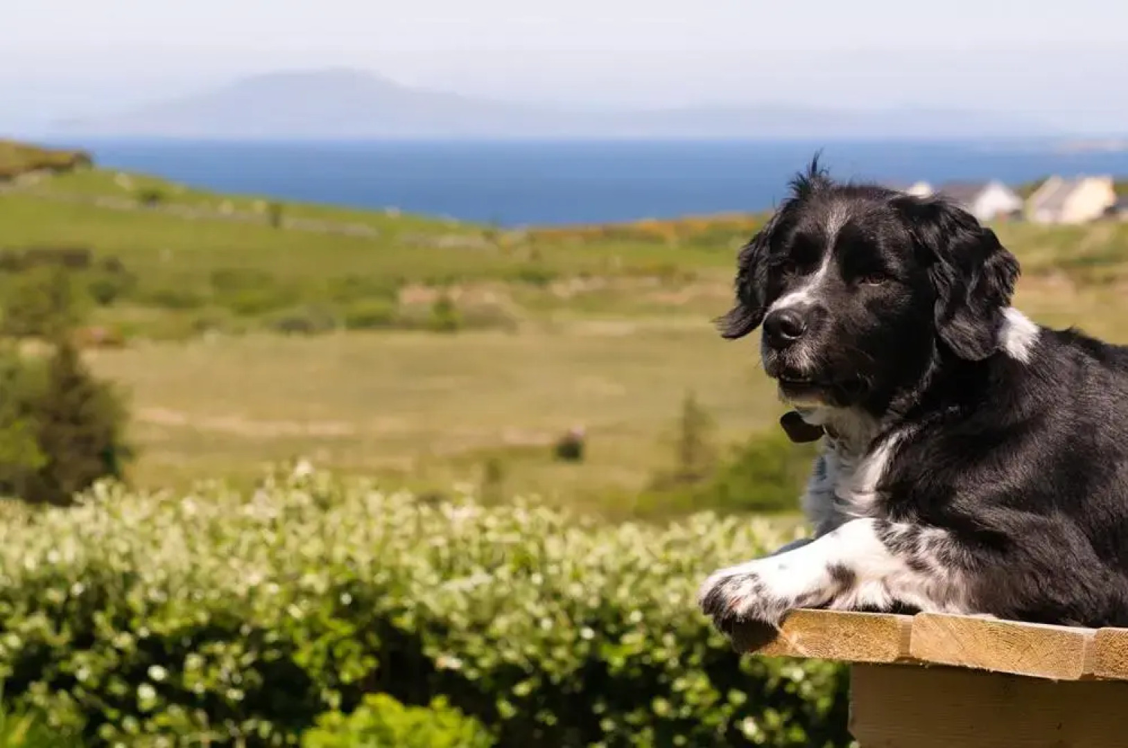 The Hut at Baywatch Bed & Breakfast