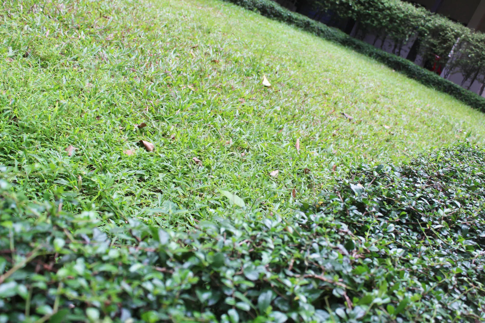 Angkor Riviera Hotel