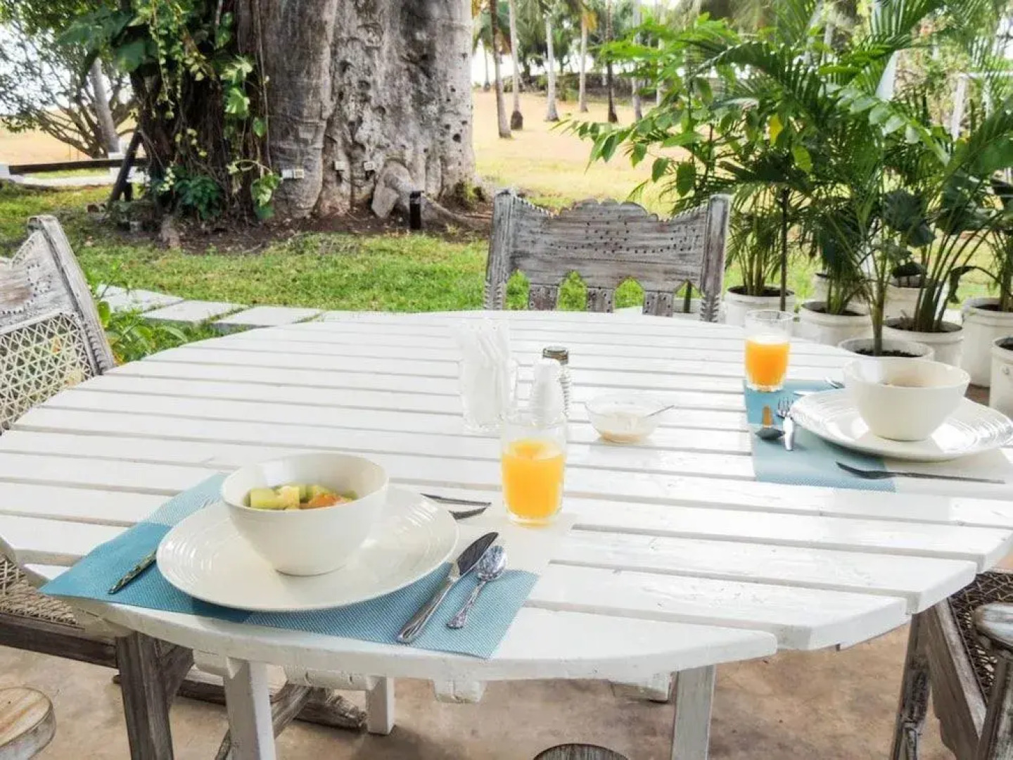 Baobab Beach House Bed and Breakfast