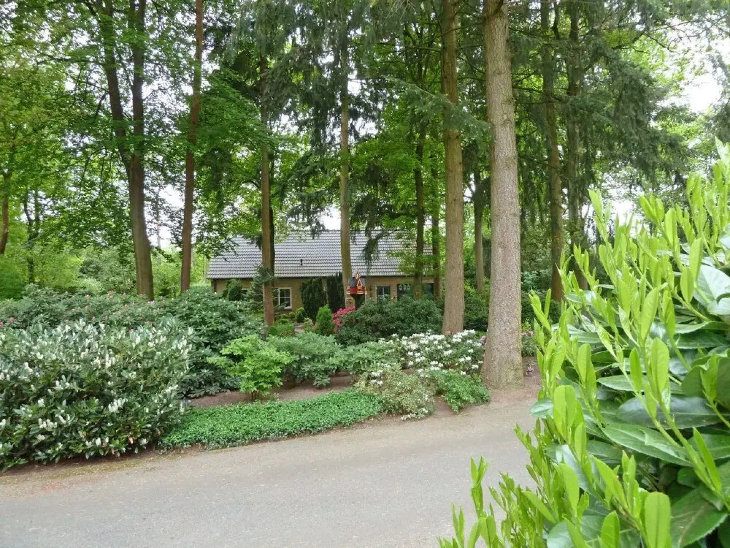 Bosrijk Ruighenrode Lochem