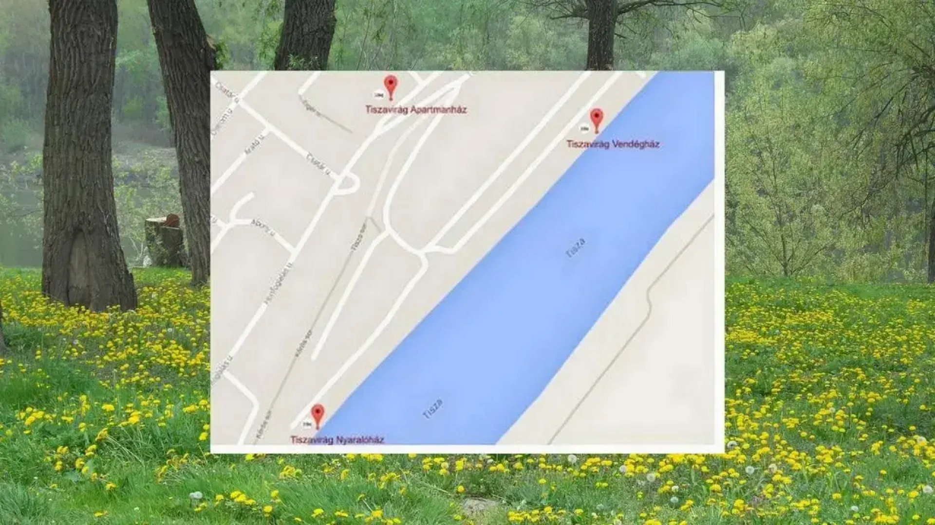 Tiszavirág Vendégház