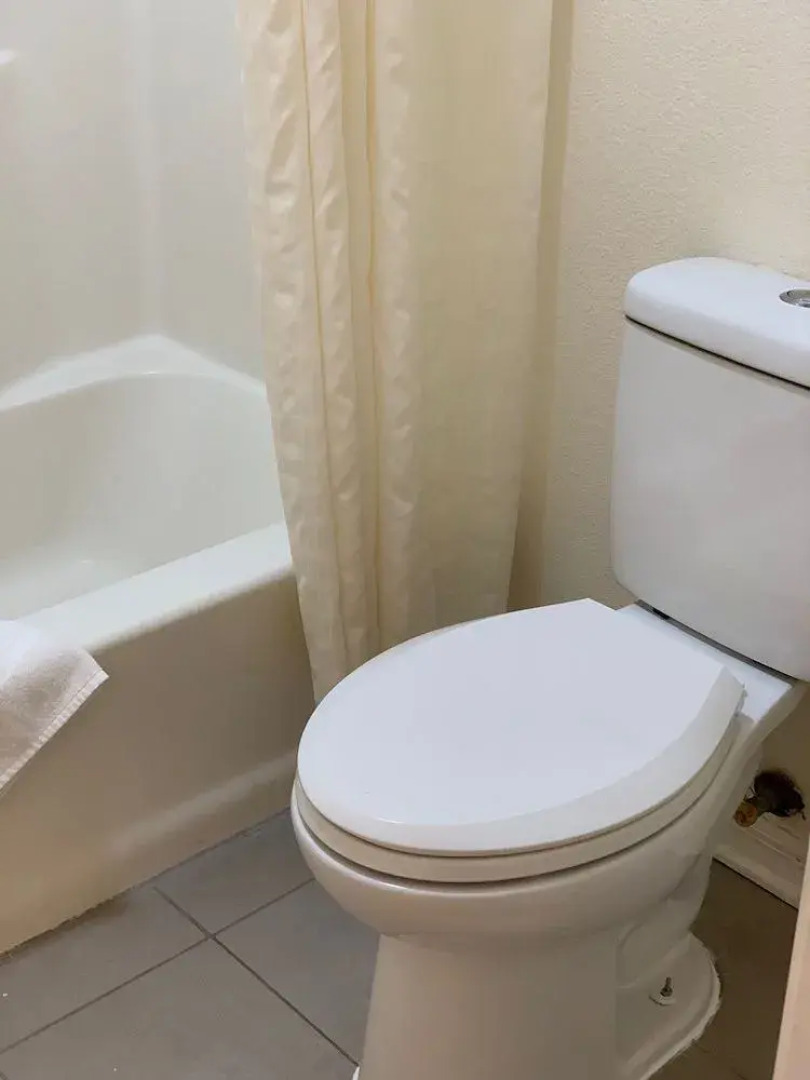 Blackwater Inn Milton