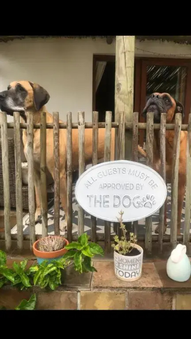 Roundhouse Guesthouse