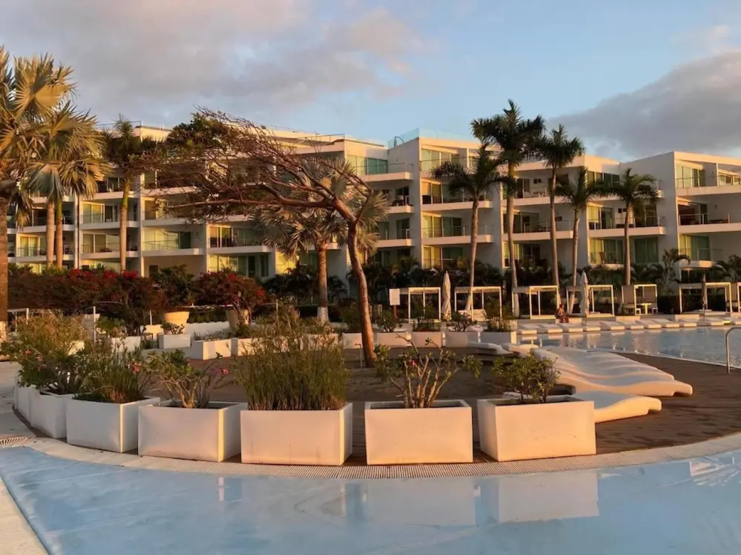 Aria Ocean 188 Flamingos