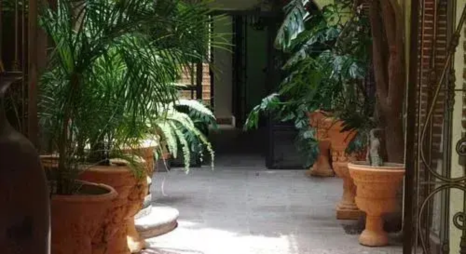 Casa de las Conservas Gold