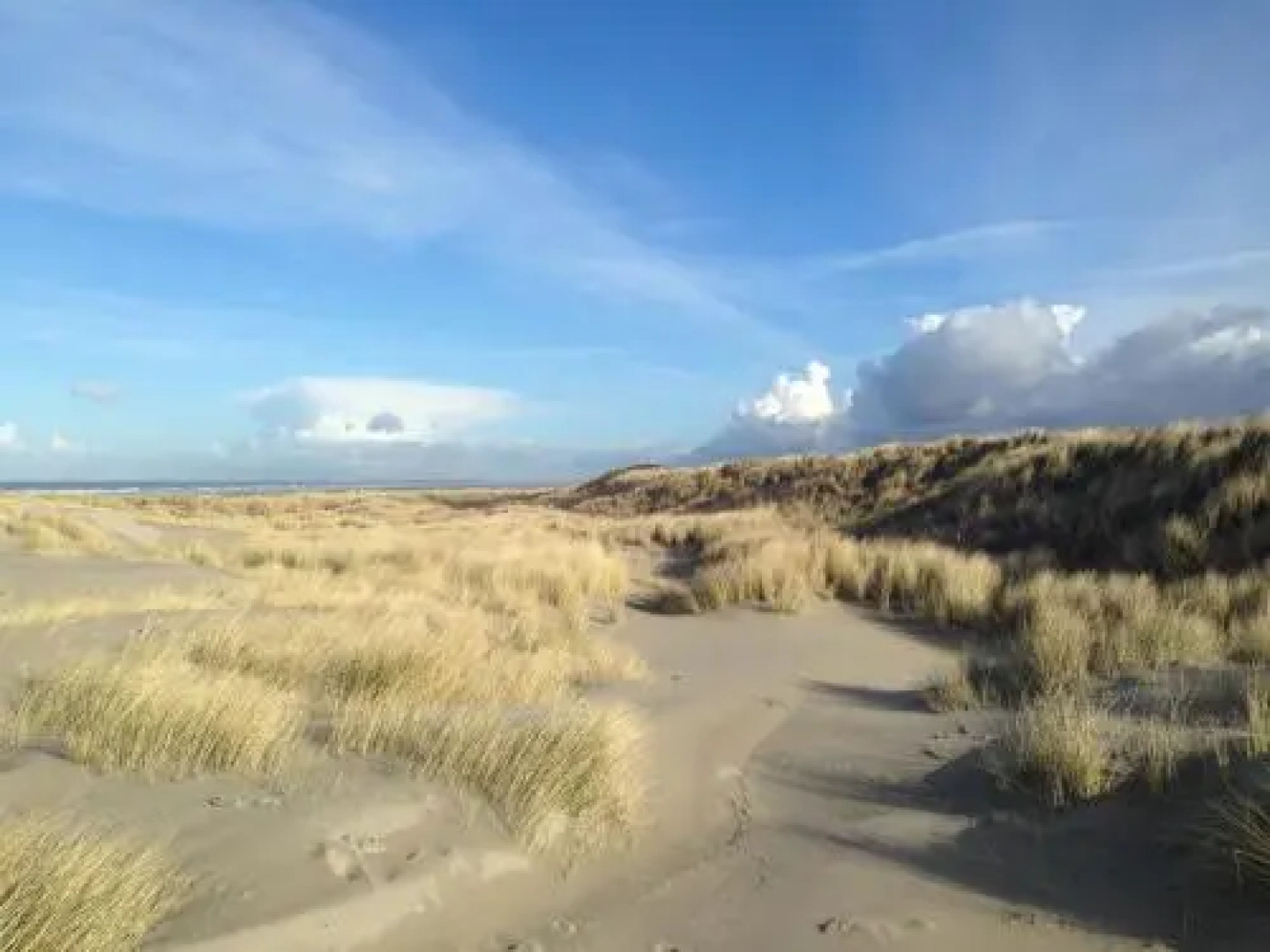 Zierikzee Appartement