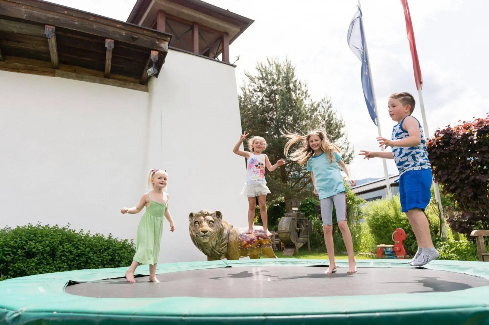 Der Löwe - LEBE FREI