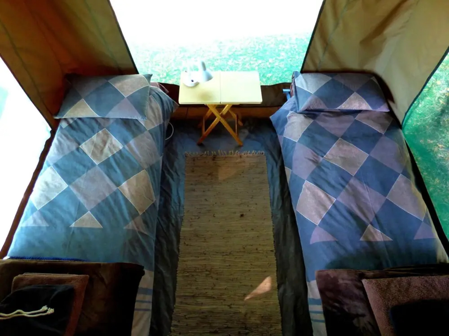 Thorn Tree Bush Camp