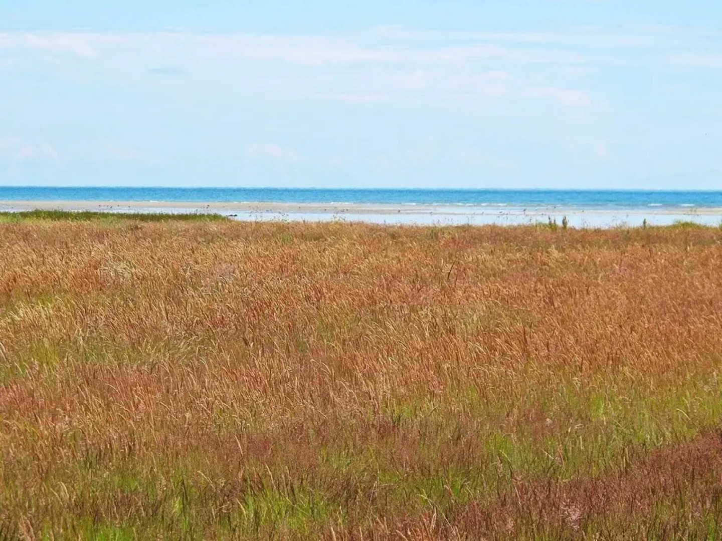 5 Person Holiday Home in Hals