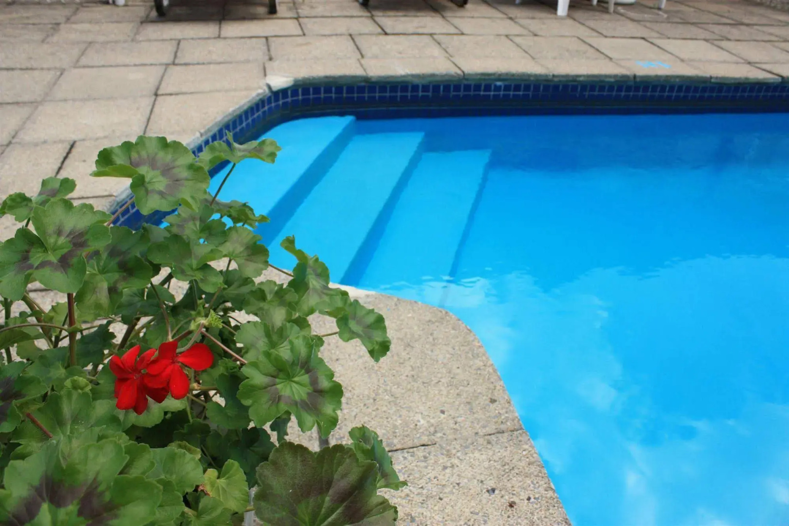 Motel Le Radisson de Val-David