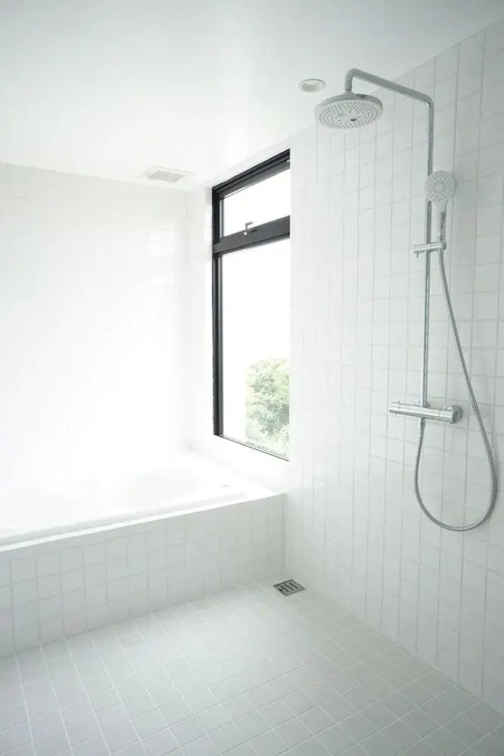 Blue Steak Wonder Senaha