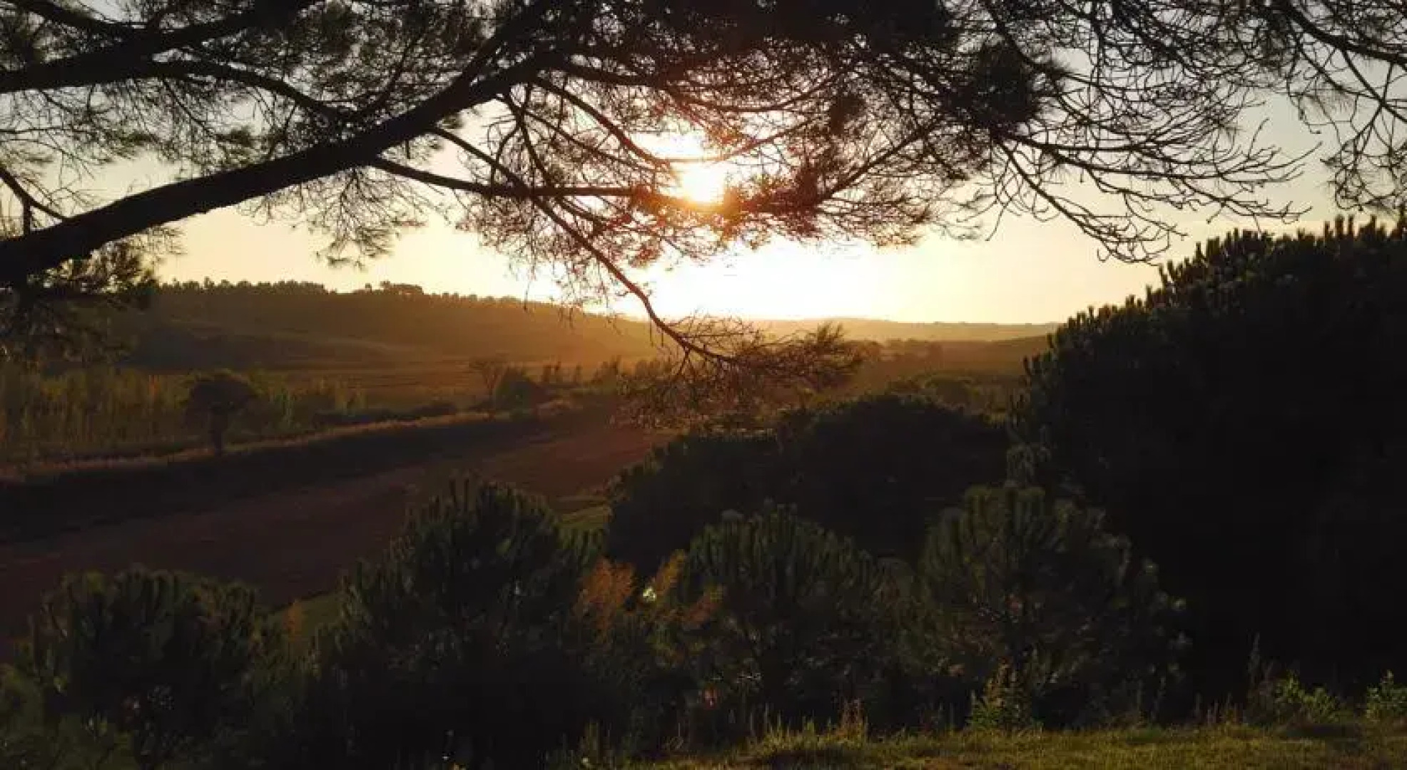 Country House Monte da Varzea