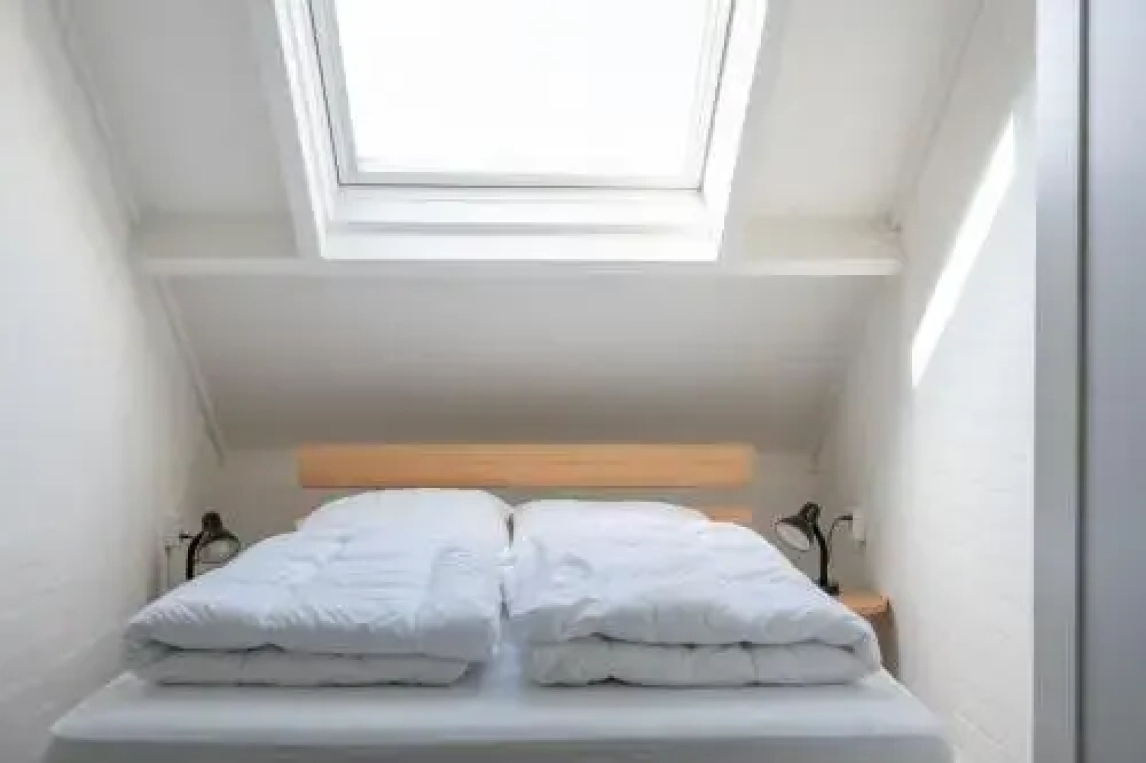 Park Schoneveld: Duinroos 123