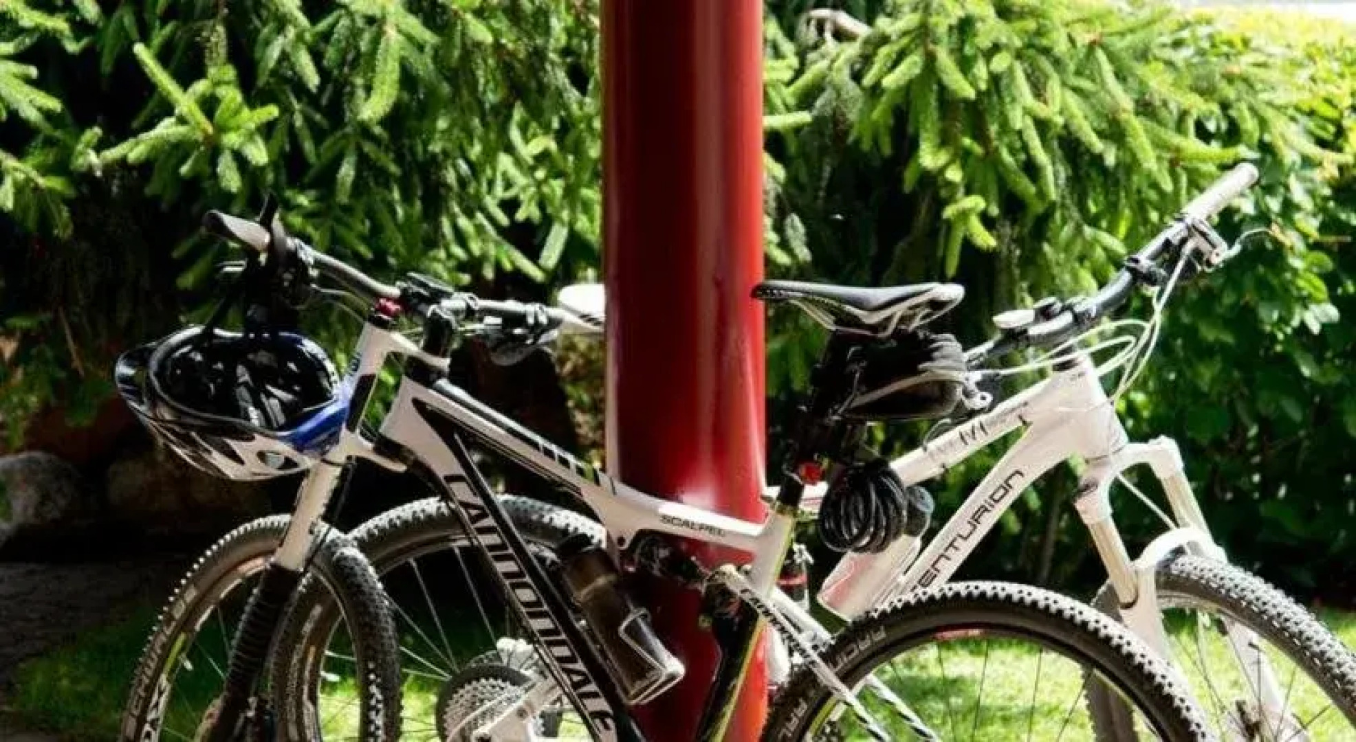 Gasthaus-Gostišče-Trattoria Ogris