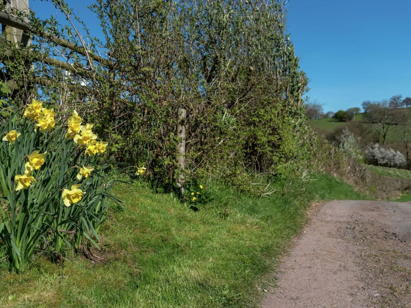 Luxurious 18th Century Farm in the Welsh Countryside