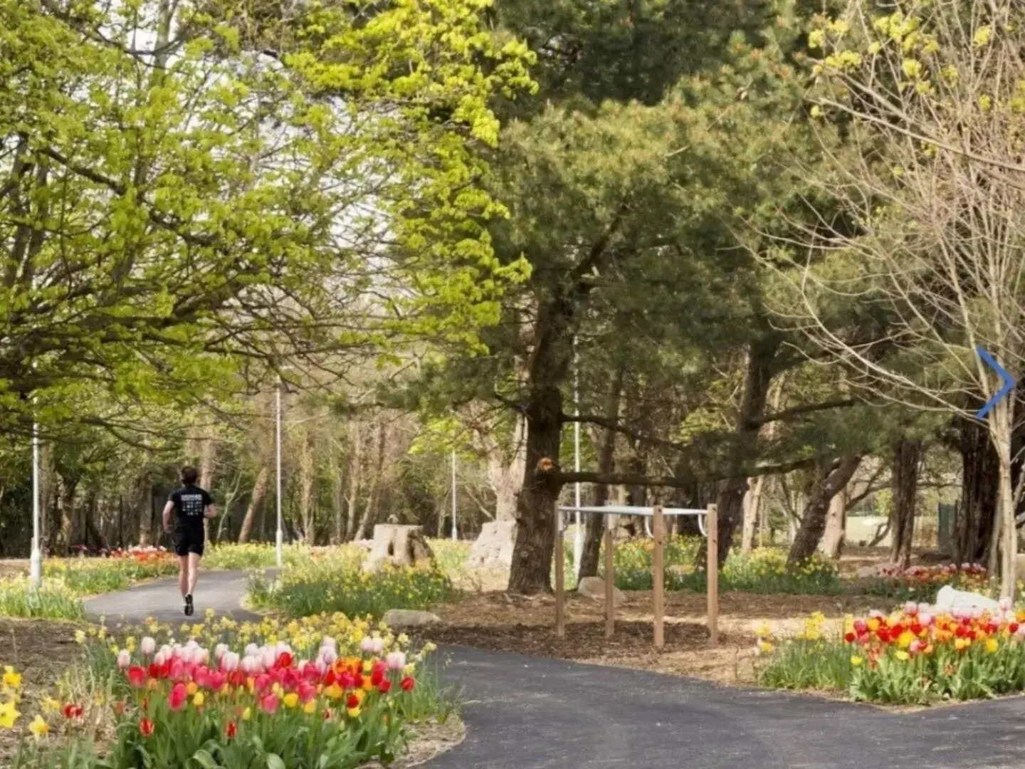 Luxury Seaview Apartment in Dun Laoghaire