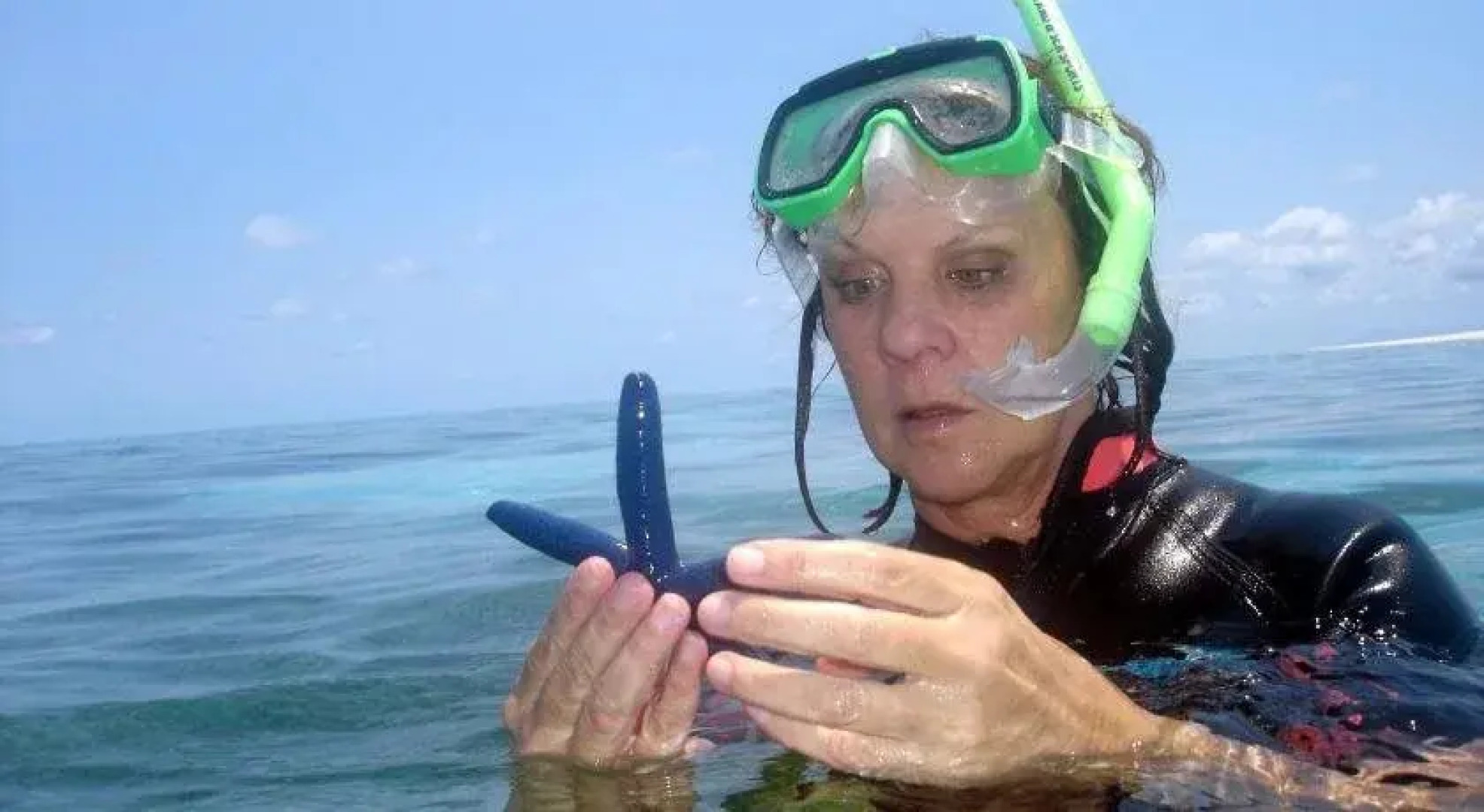 Mission Beach Shores