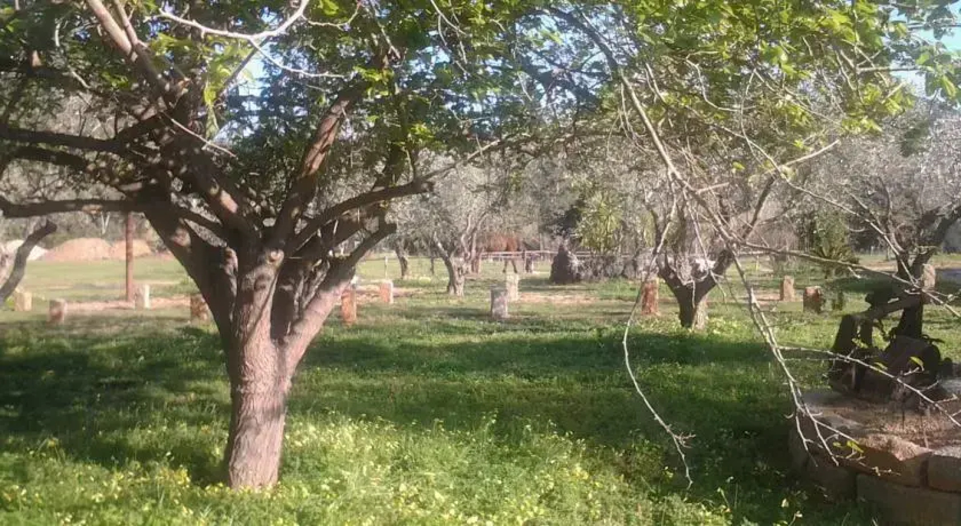 il Rifugio capo comino