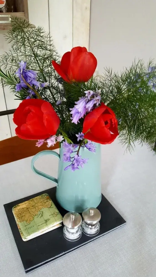 The Dorm Bed and Breakfast