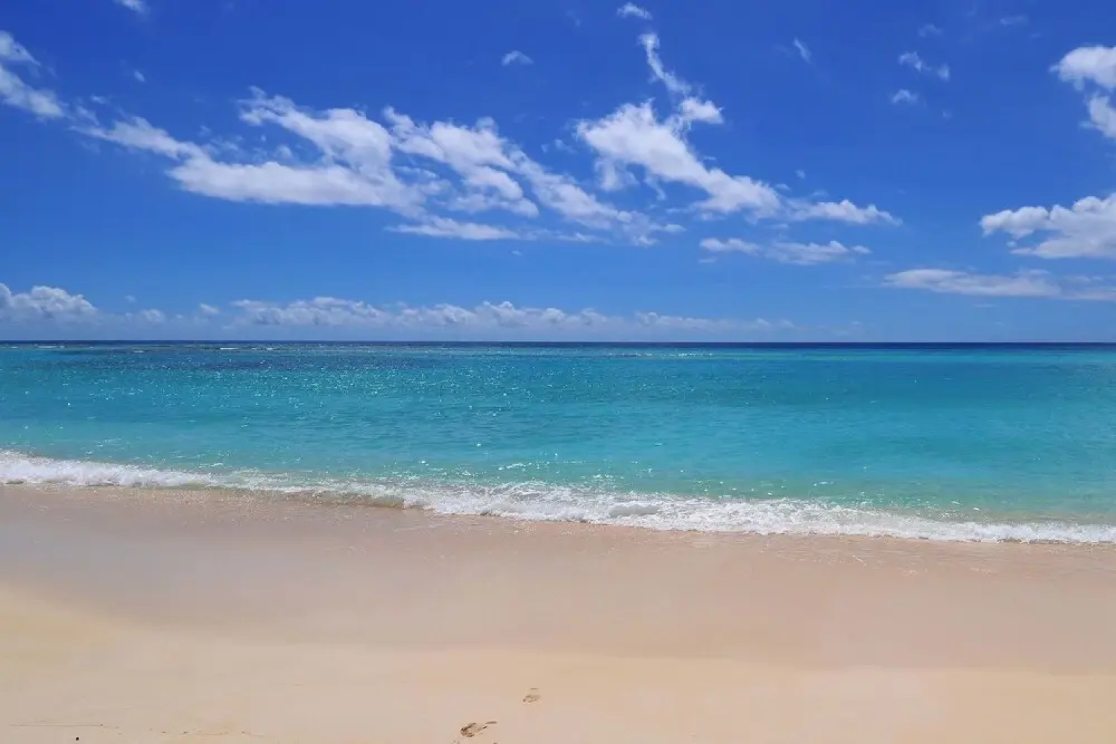 Leith Court Beachfront Apartments