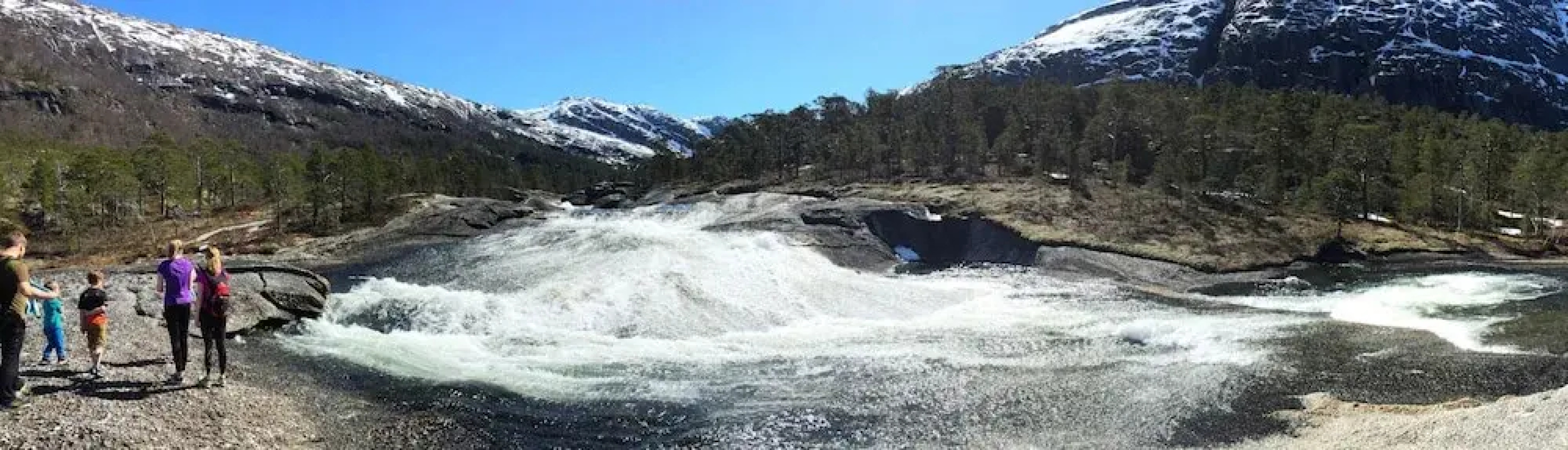 Mikkelparken Ferietun